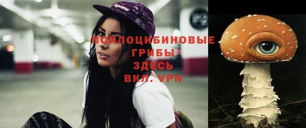 прущий лед Вязники