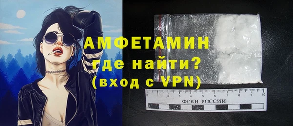 PSILOCYBIN Вяземский