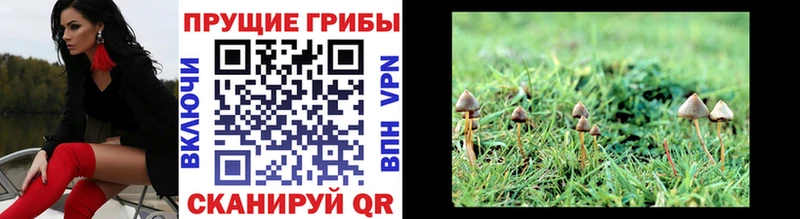 Галлюциногенные грибы GOLDEN TEACHER  Серпухов 